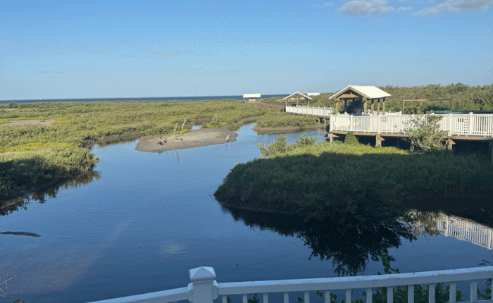 April 2025 in Texas – Part&nbsp;1