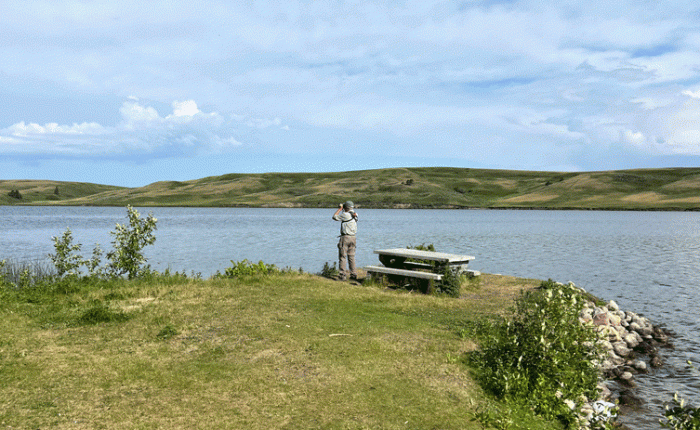 June 2025: Cypress Hills, Alberta