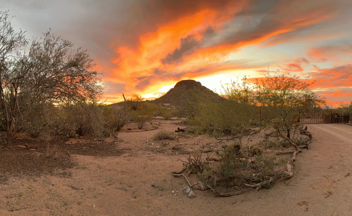 November 2025 in Arizona: Part&nbsp;1