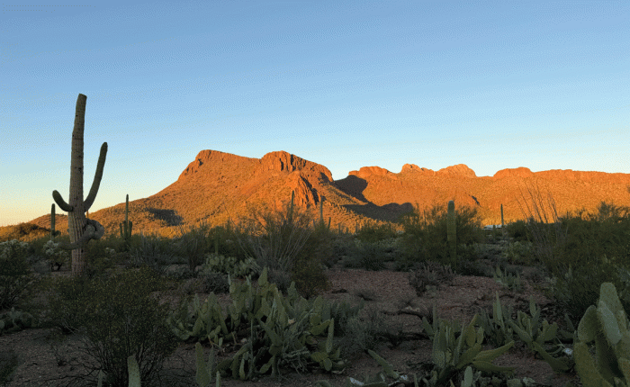 December 2025 in Arizona: part 1