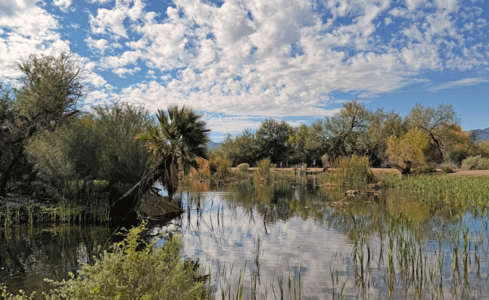 December 2025 in Arizona: part&nbsp;2