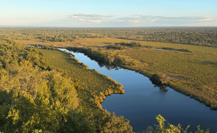 January 2026 in Guatemala – Part 1 (5)