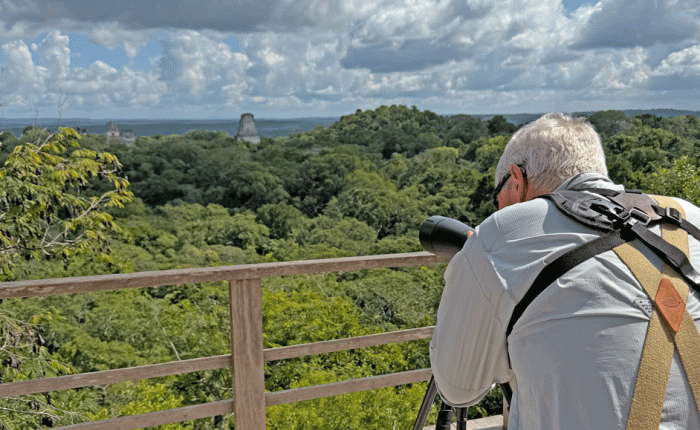 January 2026 in Guatemala – Part 2 (6)