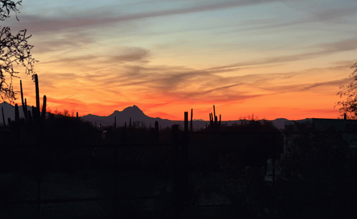 February 2026 in Arizona – Part&nbsp;1