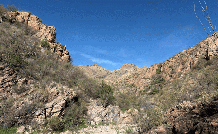 February 2026 in Arizona – Part 2: Canyons and Washes