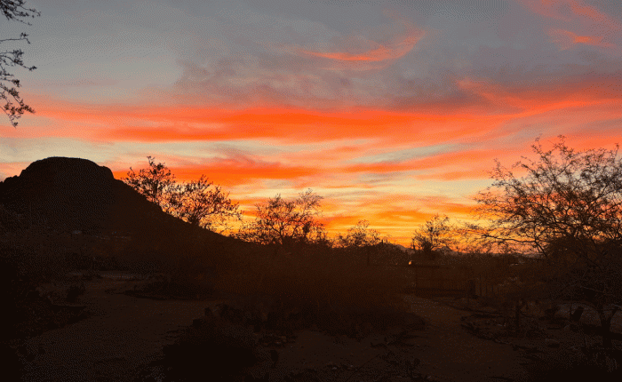 March 2026 in Arizona – Part&nbsp;2