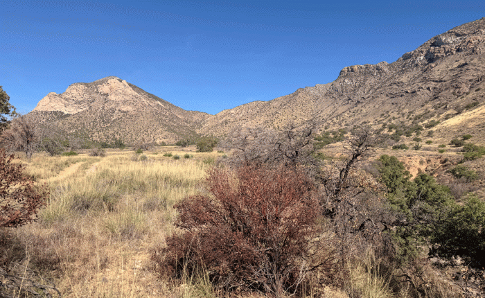 April 2026 in Arizona – part&nbsp;1